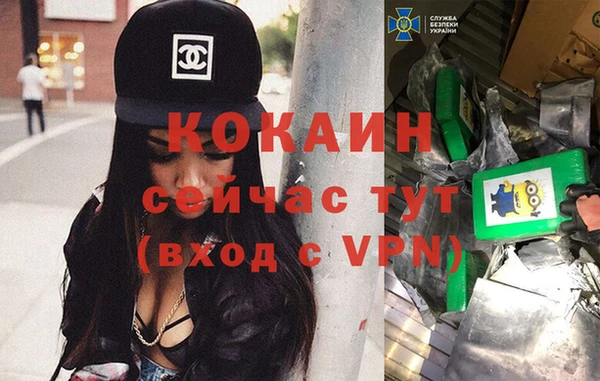 стаф Мегион