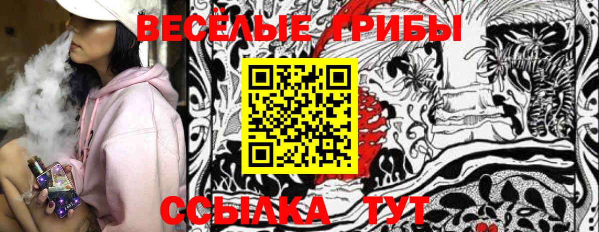 Галлюциногенные грибы прущие грибы Армавир