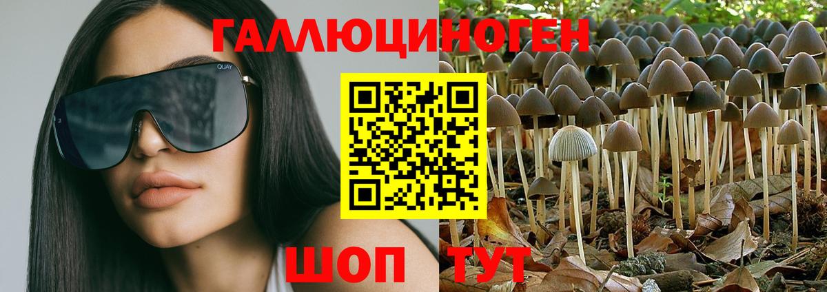Армавир  Псилоцибиновые грибы Psilocybe  Вход с VPN 