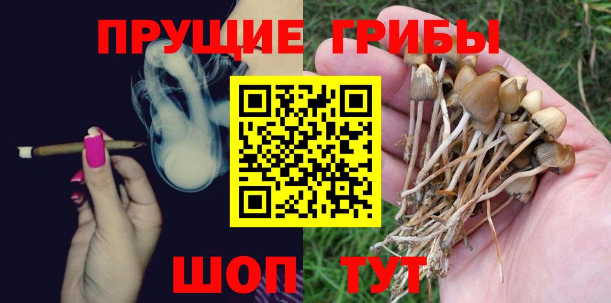 Псилоцибиновые грибы мицелий Армавир